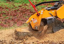 Best Lawn Grading and Leveling  in Pasadena Hills, FL