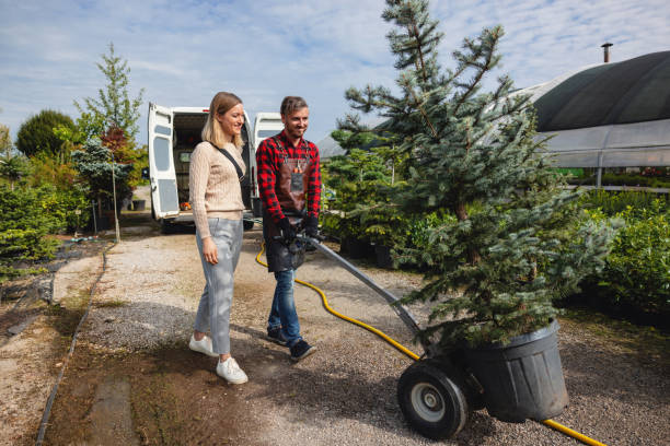 Best Tree Maintenance Programs  in Pasadena Hills, FL